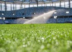 图赫尔,新球员加盟,前四课训练,PG电子官网,PG电子平台,PG电子游戏,PG体育电竞,PG棋牌彩票